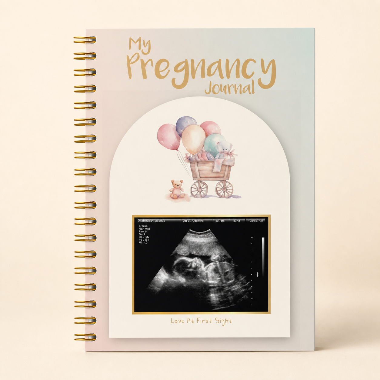 TISAYN pregnancy journal Baby Carriage cover with pastel balloons